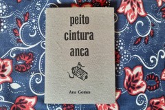 Ana Gomes - "peito-cintura-anca"